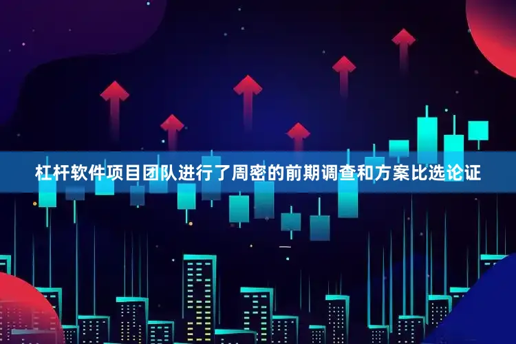 杠杆软件项目团队进行了周密的前期调查和方案比选论证