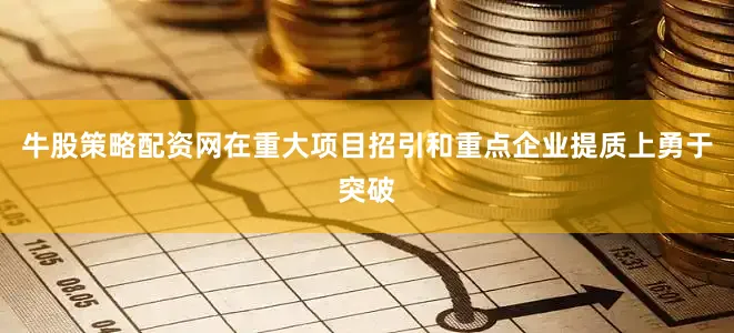 牛股策略配资网在重大项目招引和重点企业提质上勇于突破