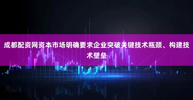 成都配资网资本市场明确要求企业突破关键技术瓶颈、构建技术壁垒