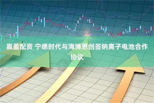 赢盈配资 宁德时代与海博思创签钠离子电池合作协议