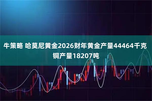 牛策略 哈莫尼黄金2026财年黄金产量44464千克 铜产量18207吨